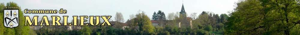 Bannière